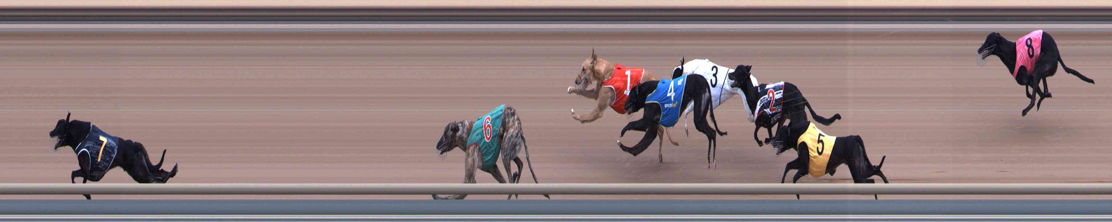 Race result finish photo